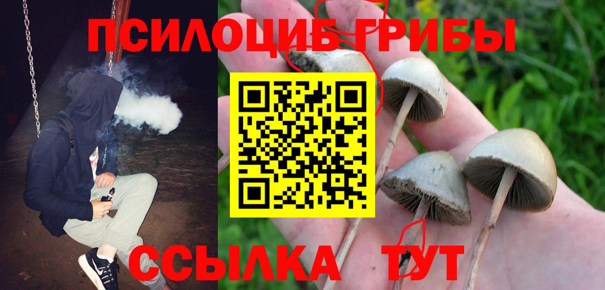 Галлюциногенные грибы Magic Shrooms  Галлюциногенные грибы ЛСД  Вход с VPN  Партизанск 